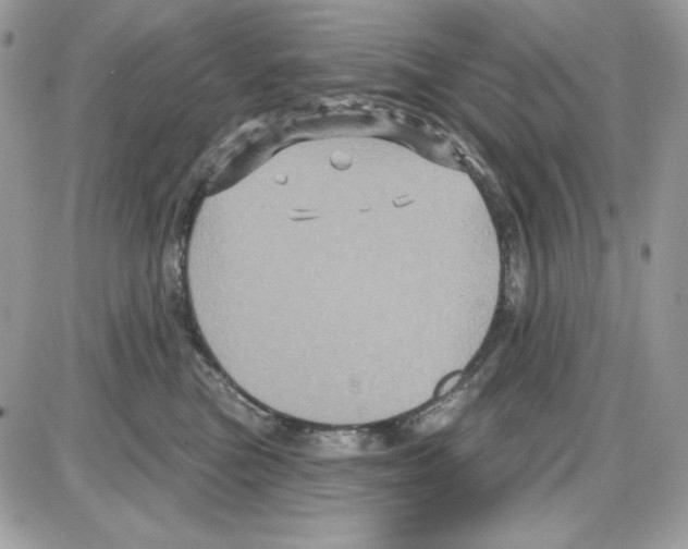 X0000085820473200704132016