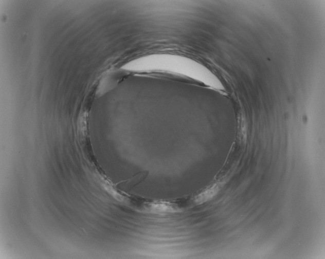 X0000085820475200704132016