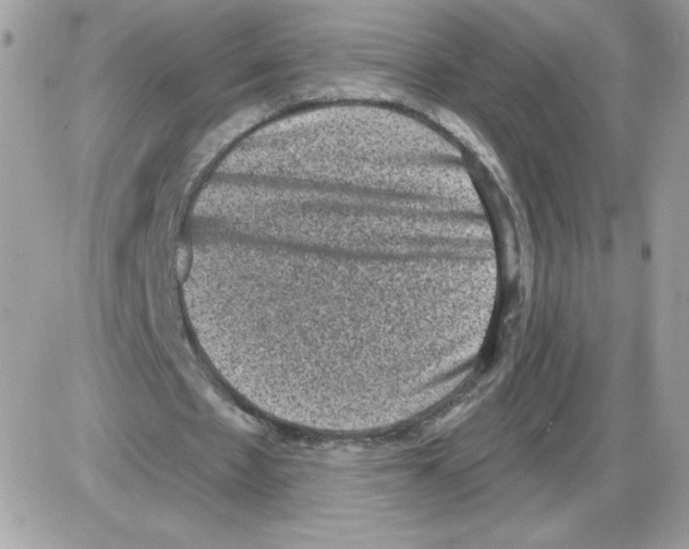 X0000085820481200704132016