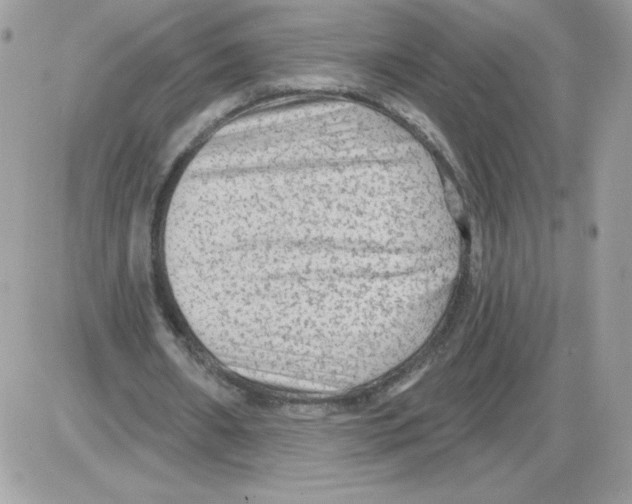 X0000085820482200704132016