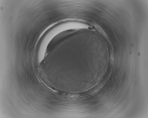 X0000085820484200704132016