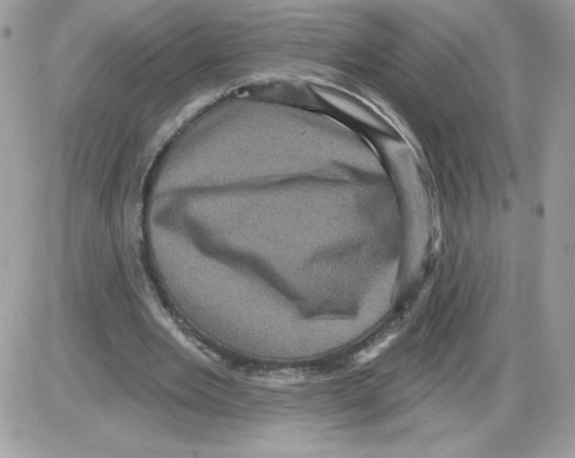 X0000085820485200704132016