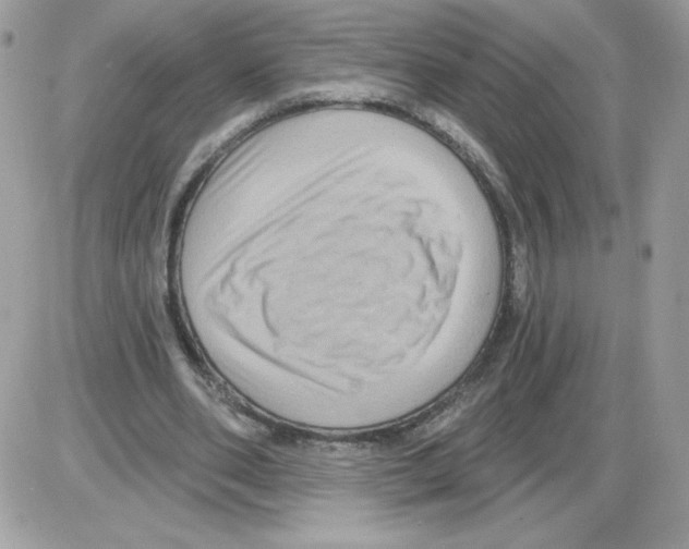 X0000085820486200704132016