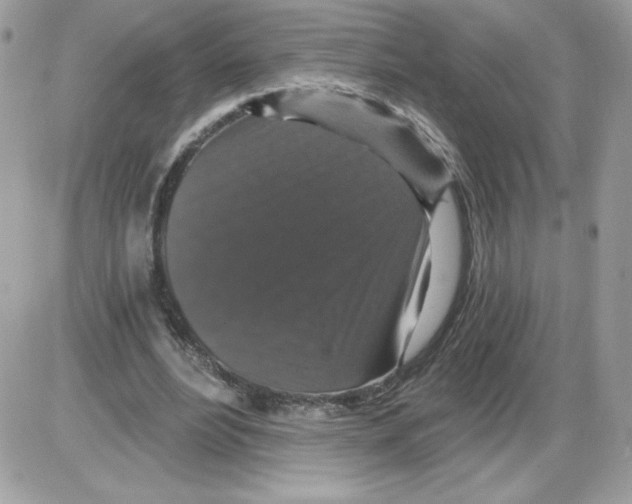 X0000085820488200704132016