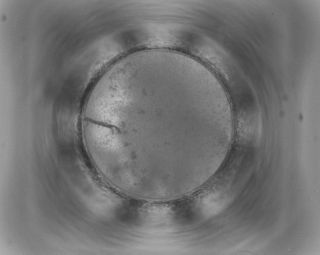X0000085820491200704132016