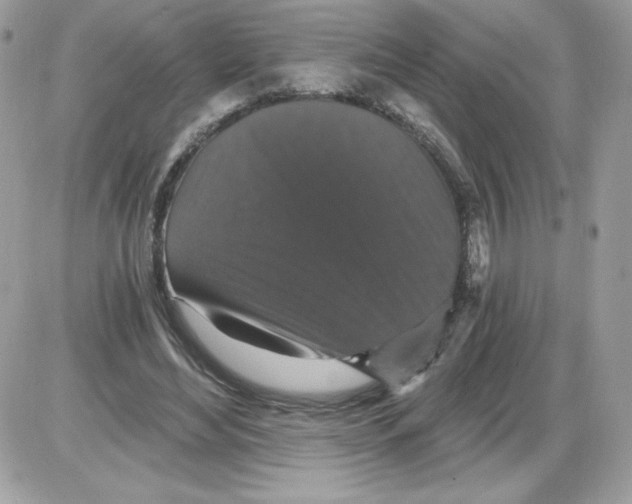X0000085820492200704132016