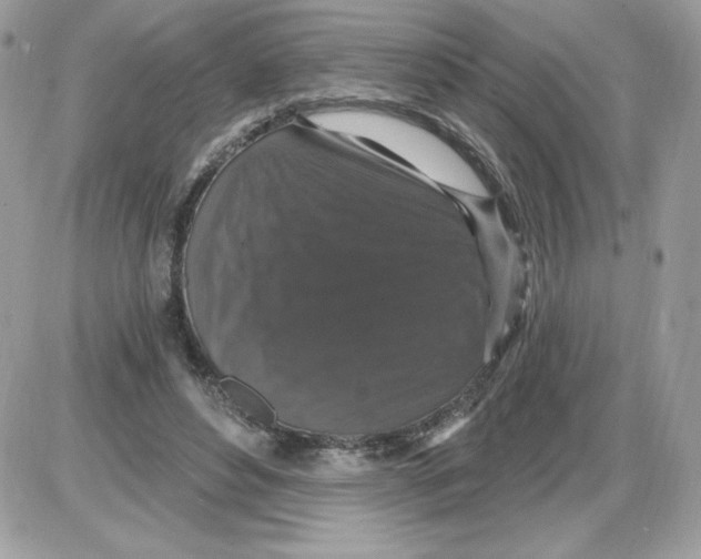 X0000085820496200704132016