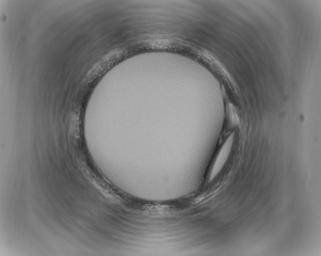 X0000085820497200704132015