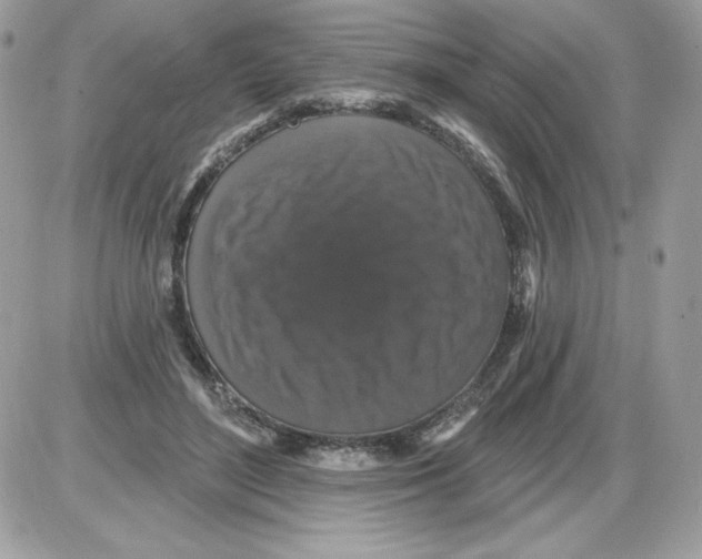 X0000085820500200704132015