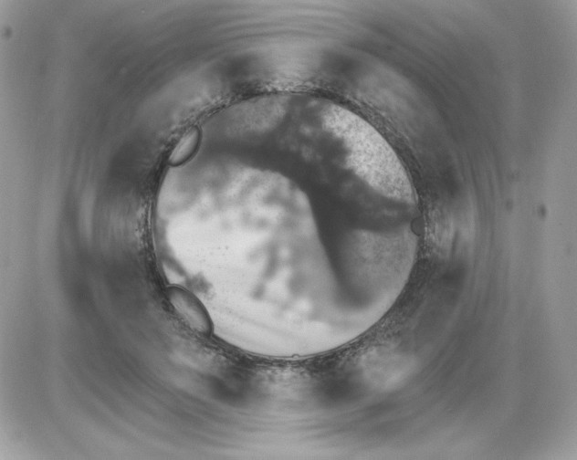 X0000085820503200704132015