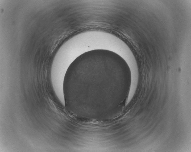 X0000085820504200704132015
