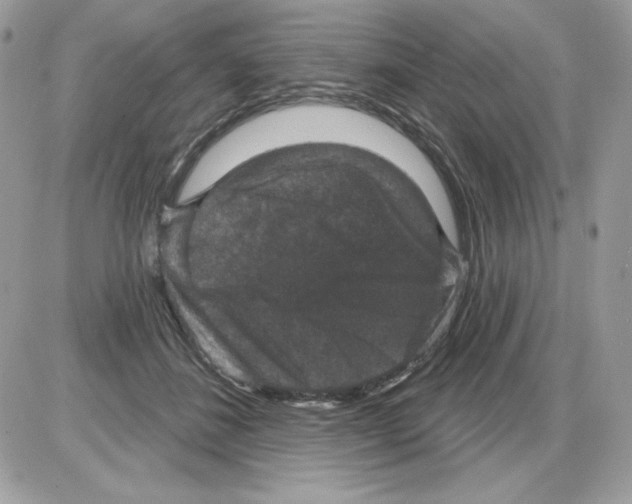 X0000085820508200704132015