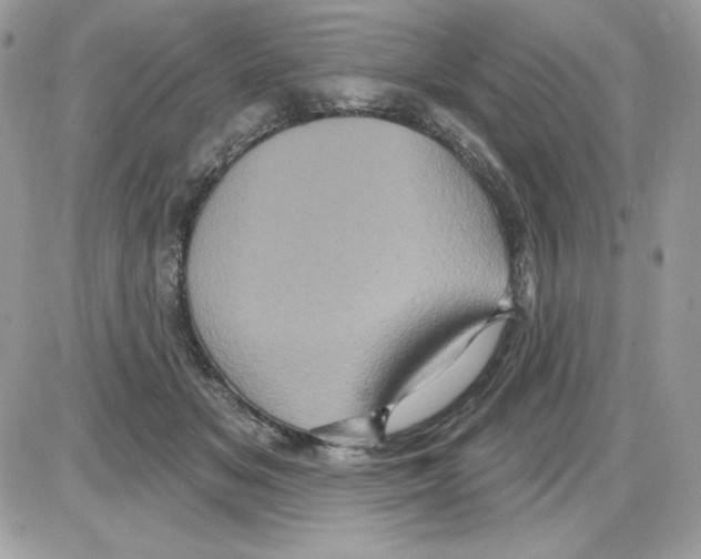 X0000085820509200704132015
