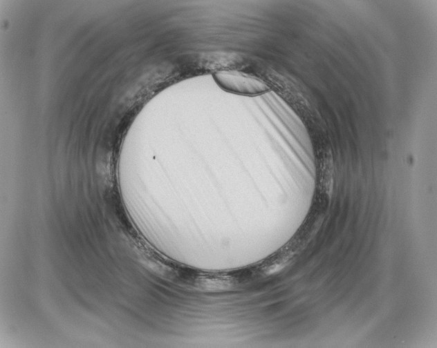 X0000085820510200704132015