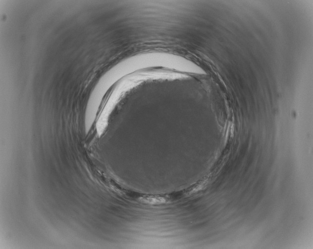 X0000085820512200704132015