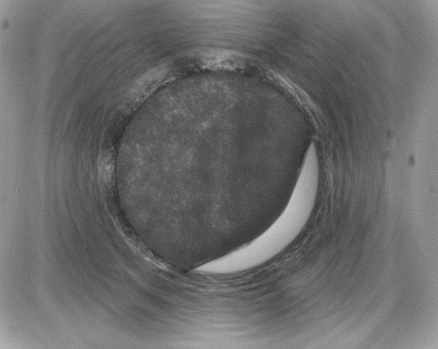 X0000085820513200704132015