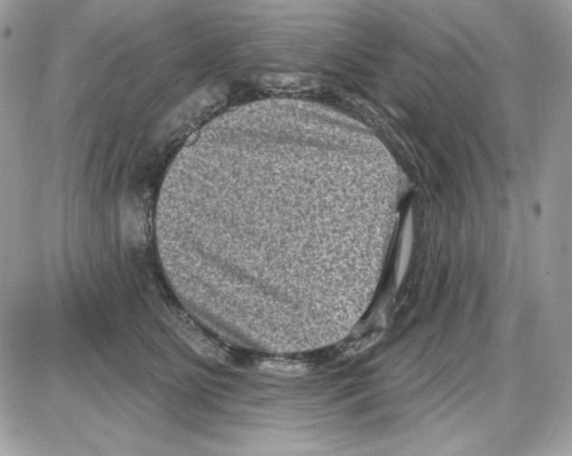 X0000085820515200704132015