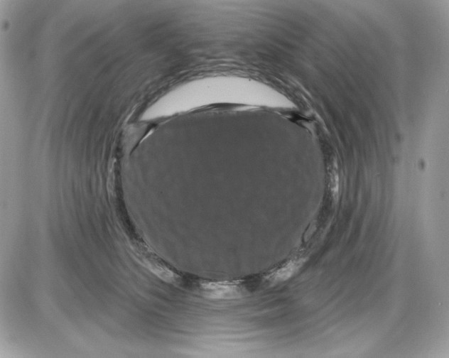 X0000085820516200704132015