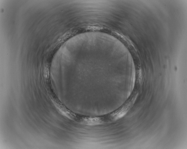 X0000085820517200704132015