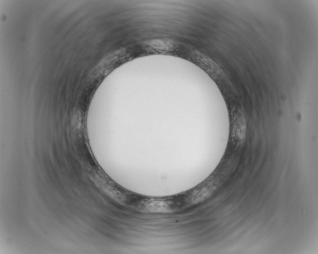 X0000085820518200704132015