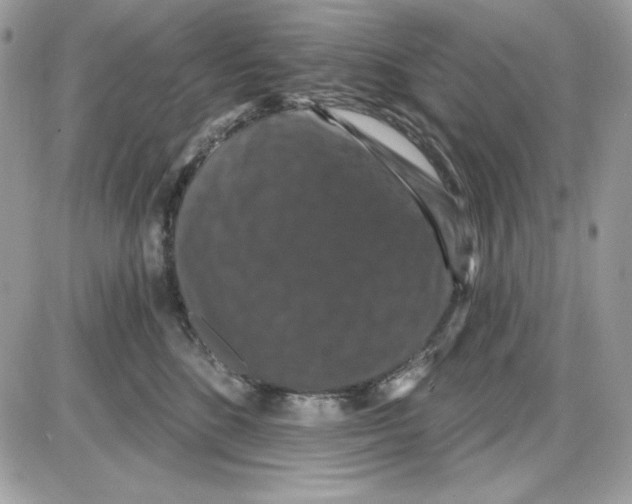 X0000085820520200704132015