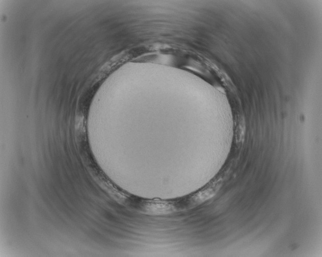 X0000085820521200704132015