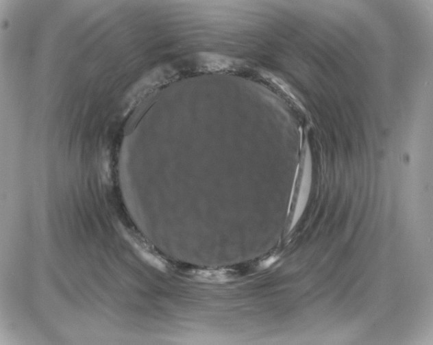 X0000085820524200704132015