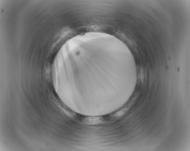 X0000085820526200704132015