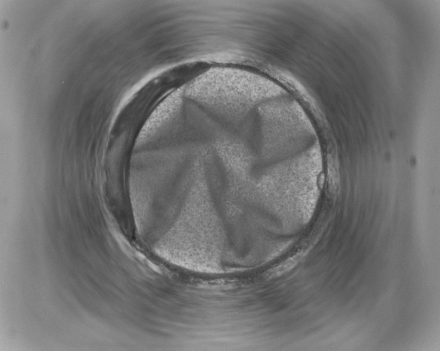 X0000085820532200704132014