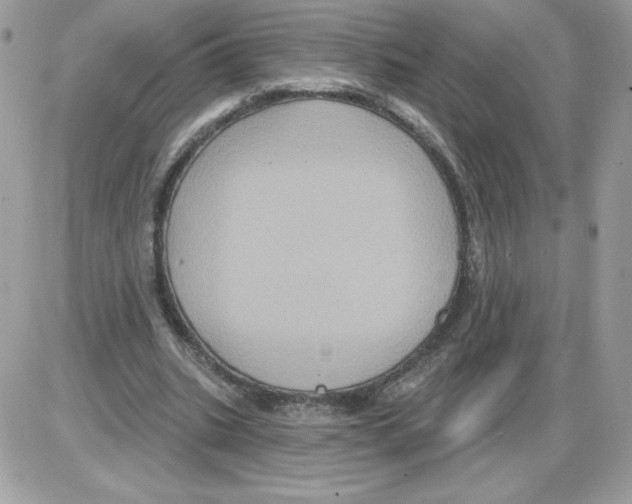 X0000085820535200704132014