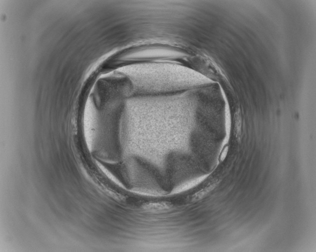 X0000085820536200704132014