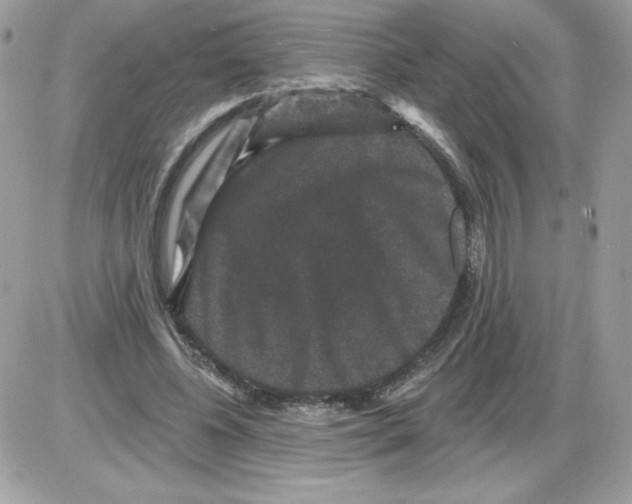 X0000085820540200704132014