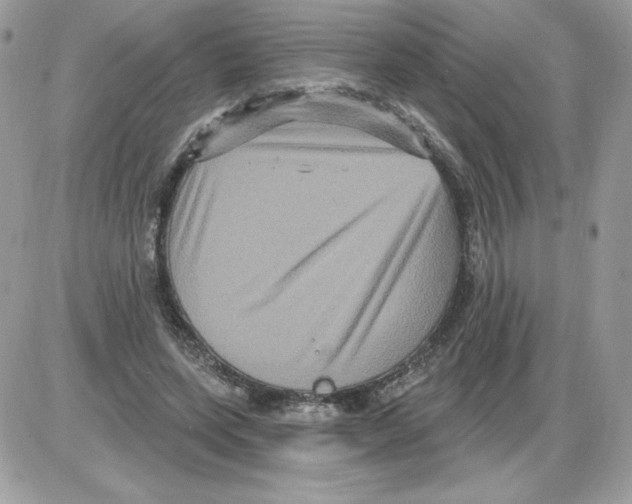 X0000085820543200704132014