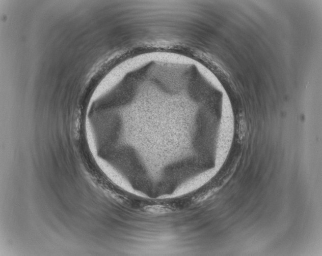 X0000085820544200704132014