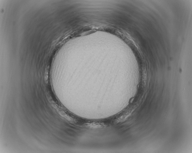X0000085820545200704132014