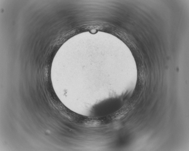 X0000085820551200704132015