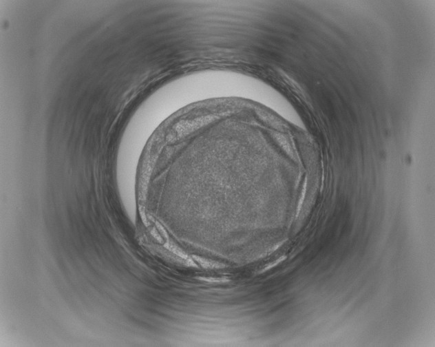 X0000085820552200704132015