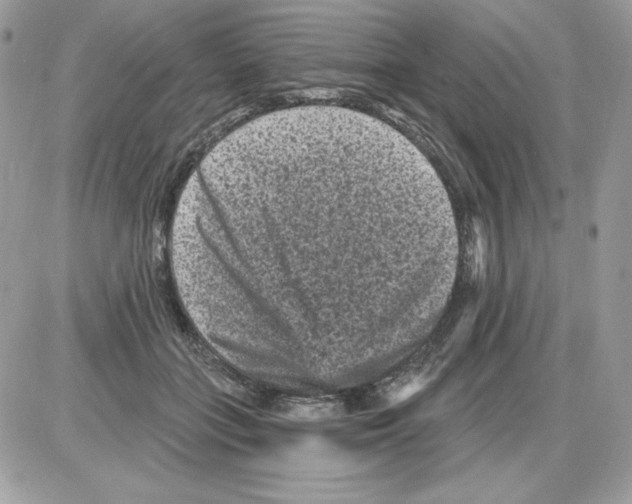X0000085820555200704132015