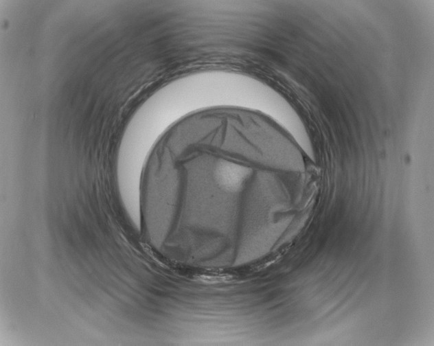 X0000085820556200704132015