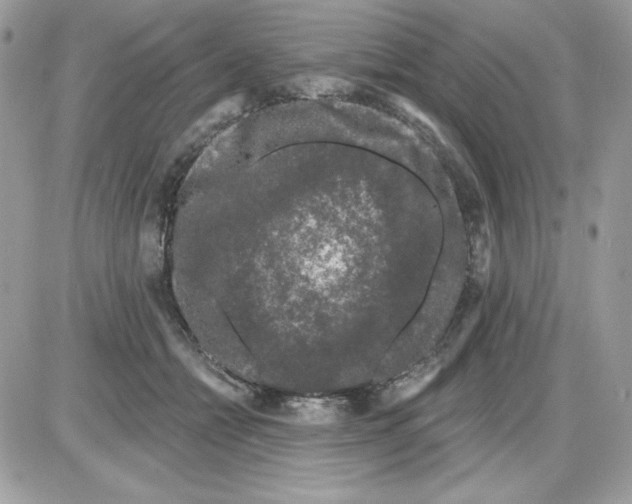 X0000085820558200704132015
