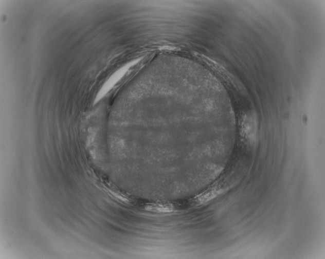 X0000085820559200704132015