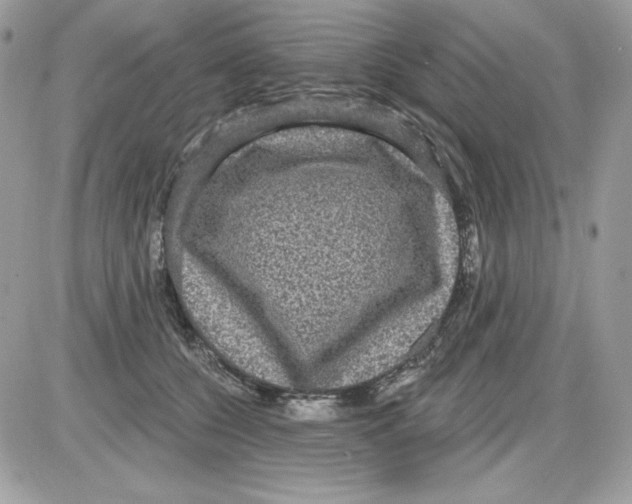 X0000085820560200704132015