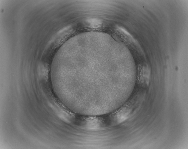 X0000085820562200704132015