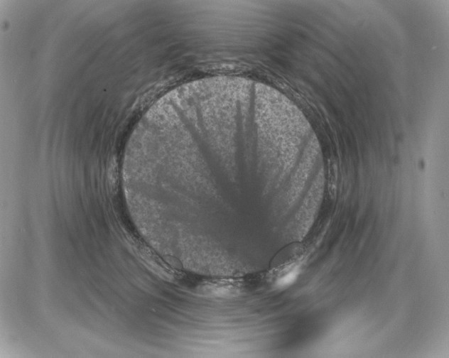 X0000085820563200704132015