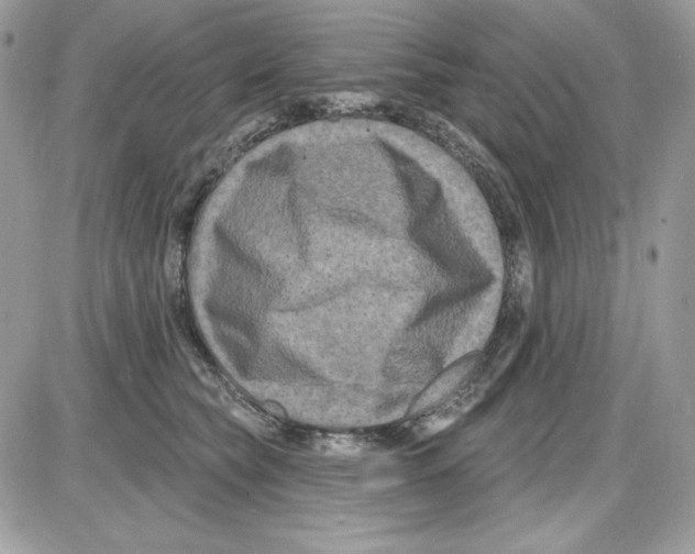 X0000085820565200704132015