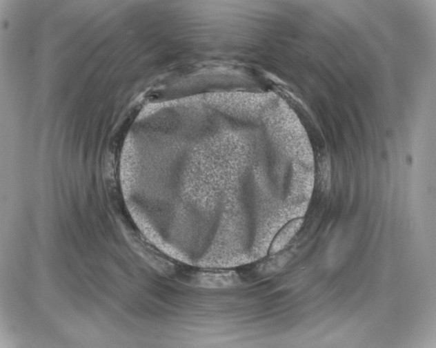 X0000085820571200704132015