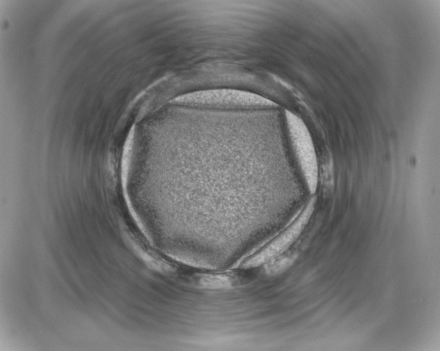 X0000085820572200704132015