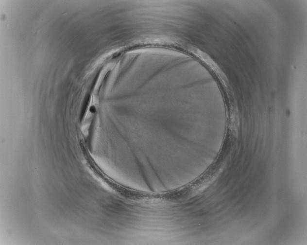 X0000085820577200704132014