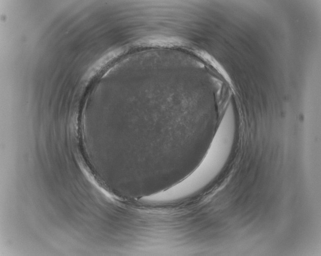 X0000085820581200704132014