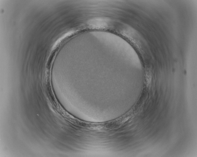 X0000085820583200704132014